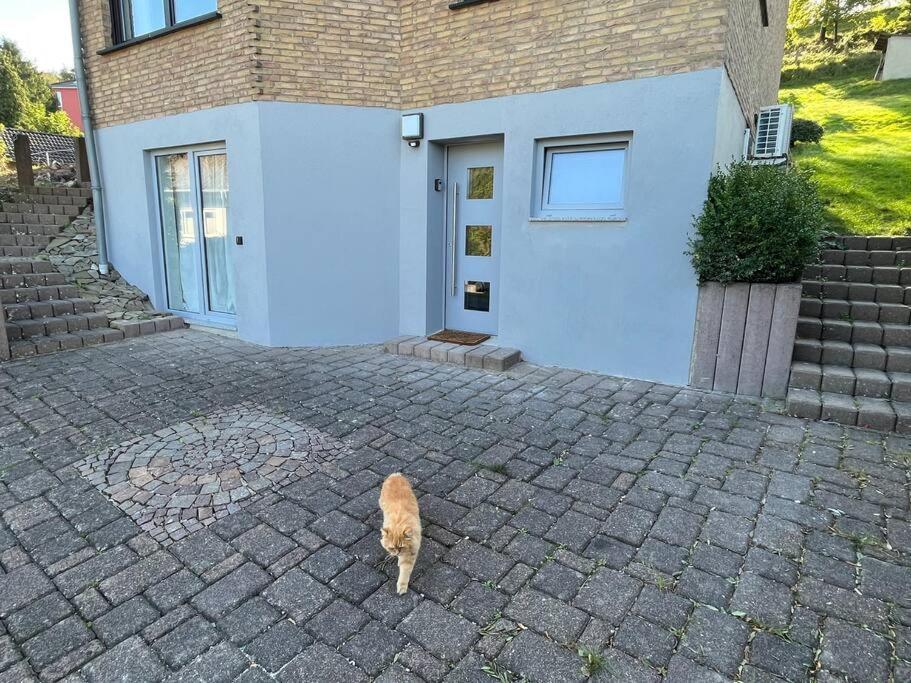 Gemuetliches Feriendomizil*Eifel* Bad Muenstereifel Exterior foto